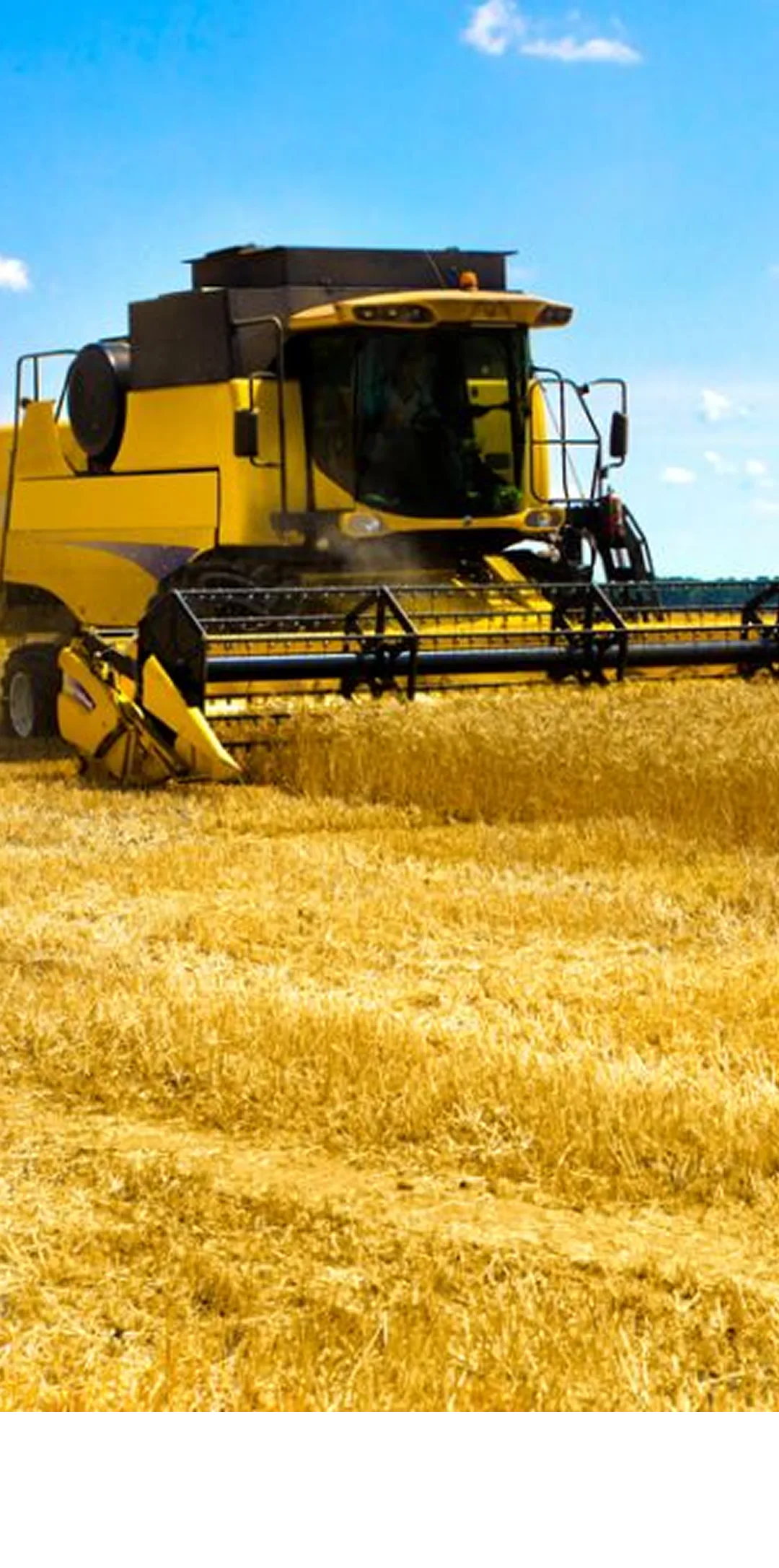 Background for KisanKraft